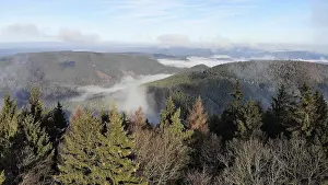 Aerial view of the Palatinate Forest in autumn