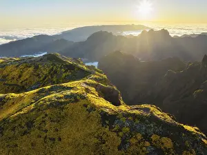 Aerial view at Pico do Arieiro of mountains over clouds with blooming Cytisus shrubs on sunset with sunburst