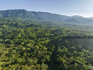 Aerial view, rainforest and mountains, Puntarenas province, Costa Rica, Central America