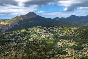 Aerial view, residential complex and mountain in Puigpunyent