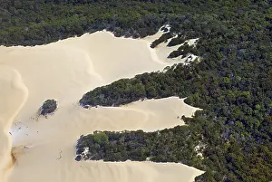 Aerial View, Sand, Beach, Forest