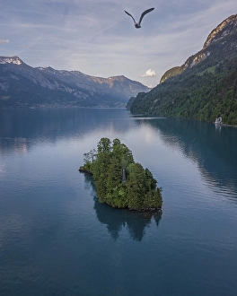 Aerial view, small island in Lake Brienz