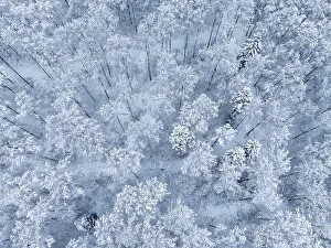 Aerial view of a snow-covered forest forming a natural pattern