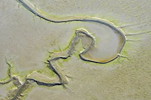 Aerial view of tidal creeks and sandbanks in the North Sea