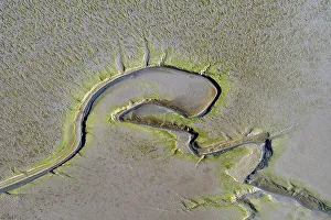Aerial view of tidal creeks and sandbanks in the North Sea