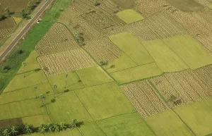 Aerial view of tilled and cultivated field