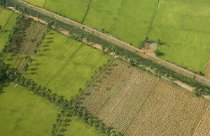 Aerial view of tilled and cultivated field