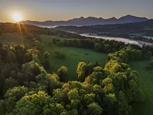 Aerial view, trees, forest, meadow