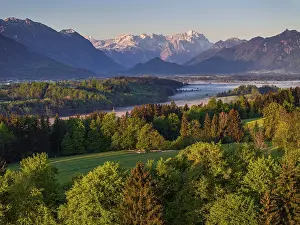 Aerial view, trees, forest, meadow