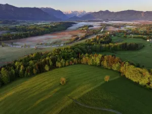 Aerial view, trees, forest, meadow