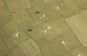 Aerial view of uncultivated field