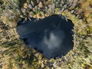 Aerial view, top down view of Litzelsee with autumn vegetation