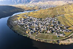 Aerial view, vineyards in autumn