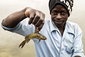Faces Of The World Prints: African shows small captured catfish (Siluridae)