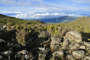 Category Mountain Landscapes Prints: Afromontane landscape on Sanetti Plateau