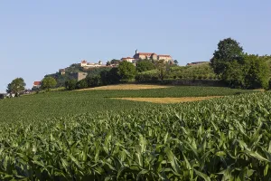 Agricultural area, cultivation area