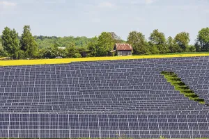 Agricultural land is used as a solar field