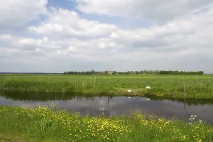 Agricultural landscape with water