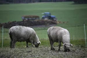 Agriculture