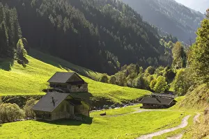 Agriculture, alpine pasture in the valley Zillergrund