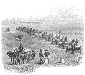 Agriculture in Dakota, USA: Sowing the wheat