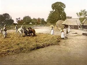 Agriculture, farming, threshing grain