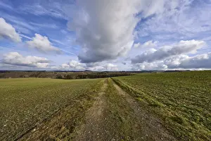 Agriculture, fields, hilly landscape