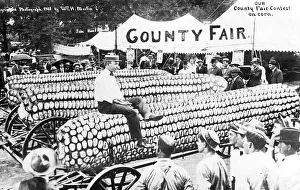 Agriculture, huge corn cob on the market