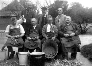 Agriculture, men peeling potatoes