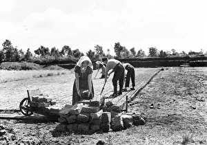 Agriculture, turf cutting workers