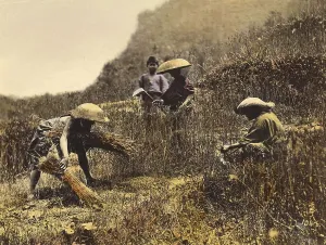 Agriculture, Wheat Harvest in Japan in 1860