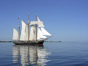 Albatross 2