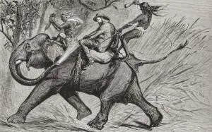 Albert Edward Prince of Wales riding an elephant