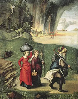 Albrecht Duerer the Younger (21 May 1471 - 6 April 1528) was a German painter