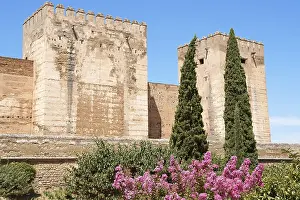 Detail of the Alcazaba a moorish fortification in the Alhambra of Granada