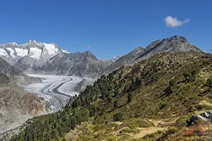 Aletsch Glacier, glacier tongue