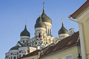 Alexander Nevsky Cathedral, Aleksander Nevski Cathedral