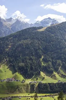 Alm with forest and mountains, Neustift im Stubai Valley