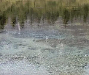 Almsee in the Almtal