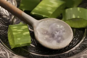 Aloe vera juice with fresh leaves