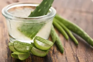 Aloe vera juice with fresh leaves