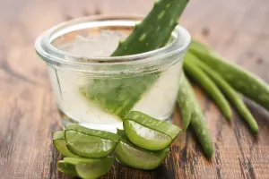 Aloe vera juice with fresh leaves