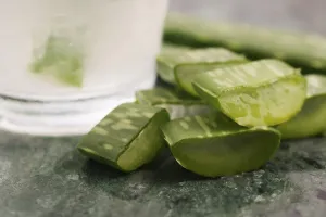 Aloe vera juice with fresh leaves