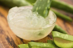 Aloe vera juice with fresh leaves