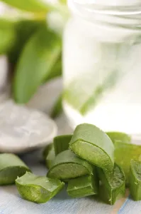 Aloe vera juice with fresh leaves, POLAND