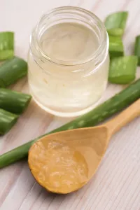 Aloe vera juice with fresh leaves, poland