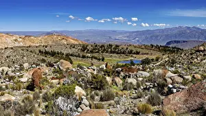 Alpacas grazing in a vast mountain landscape with views of distant peaks