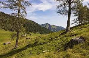 Category Mountain Landscapes Prints: Alpbichlalm, Osterhorn group, Salzkammergut