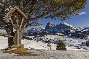 Alpe di Siusi at the Contrin hut