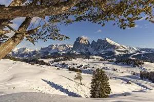 Alpe di Siusi at the Contrin hut